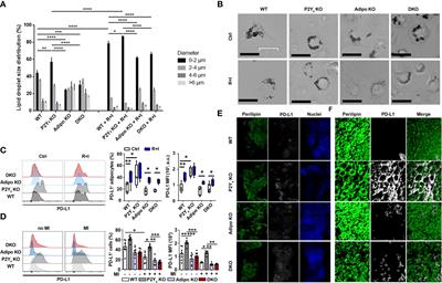 Corrigendum: Central role of PD-L1 in cardioprotection resulting from P2Y4 nucleotide receptor loss